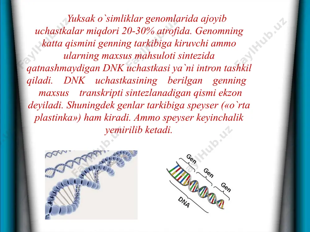 o`simlik hujayralarining ontogenezi va hujayra tuzilmalarining biogenezi - Page 4