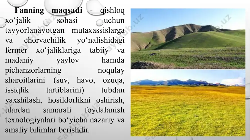 yaylovlarda boqish 180-280 kunni tashkil qilganligi uchun bu davrda o‘tni o‘rish, tashish, mollarga tarqatish, nushxo‘rd va go‘ng tozalash, sug'orish ishlarini o‘tkazish talab qilinmaydi. 4. sog'in sigirlarda uchraydigan «mastit» kasalligi yaylovlarda boqilgan mollarda uchramaydi. 5. chorva mollarining nasli yaxshilanib boradi (100 bosh sigirdan 95- 98 bosh sog‘lom buzoq olinadi). 6. g‘o‘sht, sut, jun va teri mahsulotlarining sifati keskin yaxshilanadi. 7. yaylovlarda boqilgan chorva mollari vitaminli ko‘k ozuqa bilan uzoq muddat ta’minlangan bo‘ladi. yaylovlarning asosiy ahamiyati 1. yaylovlarda efemer, efemeroid, yarim buta va butalarning birgalikda mavjudligi tuproqning shamol va suv eroziyasidan himoya qiladi. shuningdek, qum ko'chishini, tuproqni uchirib chang-to‘zon ko‘tarilishini oldini olib, atmosfera havosini ifloslanishini bartaraf qiladi. 2. atmosfera yog‘inlarini yerga sekin-asta singishini ta’minlab, tuproqda namlik zaxirasini vujudga keltiradi va uni fizik bug‘lanishdan saqlaydi. sizot suvlari yer yuzasiga yaqin joylashgan yerlarda ko‘p yillik o‘tlar, butalar va daraxtlar biologik zovur vazifasini bajarib, tuproqda sodir bo‘ladigan sho‘rlanish va botqoqlanish jarayonini kamaytiradi. yaylov o‘simliklarining ekologik-meliorativ …