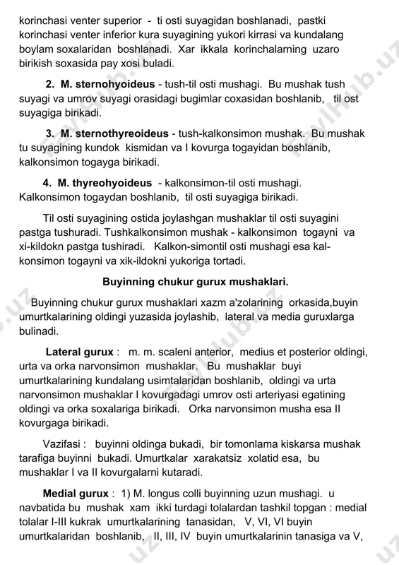 rapezius larni urab oladi va ularga kin xosil etadi. 3. fascia colli profunda - buyinning chukur fassiyasi. bu fassiya m. omohyoideus lar orasida joylashadi. yukorida til osti suyagig birikadi, pastda esa tush suyagining ichki yuzasiga birlashadi. buyinning yuzaki va xususiy fassiyalari buyin oldingi yuzasining urtasida kushilib, buyinning ok chizigini xosil etadi. tush suyagining ustki kirrasi soxasida buyinning yuzaki va chukur fassiyalari orasida bushlik spatium interaponevroticum suprasternale xosil buladi. 4. fascia endocervicalis - buyinning ichki fassiyasi. bu fassiya ikki varokdan iborat bulib, uning parietal kismi til osti suyagining ostidagi mushaklarni va buyinning chukur mushaklarini ura oladi. bu fassiyaning visseral kismi esa buyin soxasidagi a'zolarni (xalkum, kizilungach, xikildok, traxeya, kalkonsimon bez,kon-tomir-nerv tutami) urab oladi. buyinning ichki fassiyasinin oldingi soxasida - buyindagi a'zolarning oldida tirkish xosil bulib - spatium praeviscerale deyiladi. fassiyaning va a'zolarnin orkasida esa yana bir tirkish xosil bulib, spatium retrovisceral deyiladi. oldingi tirkish kukrak kafasidagi oldingi kuks oraligig ochiladi, orka …