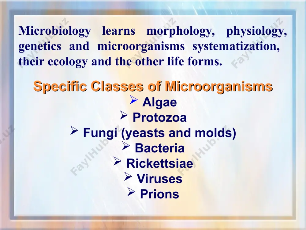 amily enterobacteriaceae, the “gram-negative enteric bacteria,” which includes genera escherichia, proteus, enterobacter, klebsiella, salmonella, shigella, serratia, and others the family pseudomonadaceae, which includes genus pseudomonas and related genera other medically important proteobacteria include genera haemophilus, vibrio, camphylobacter, helicobacter, rickessia, brucella microbial phylogeny phylogeny of domain bacteria (cont.) phylum firmicutes “low g + c gram-positive” bacteria divided into 3 classes class i – clostridia; includes genera clostridium and desulfotomaculatum, and others class ii – mollicutes; bacteria in this class cannot make peptidoglycan and lack cell walls; includes genera mycoplasma, ureaplasma, and others class iii – bacilli; includes genera bacillus, lactobacillus, streptococcus, lactococcus, geobacillus, enterococcus, listeria, staphylococcus, and others microbial phylogeny phylogeny of domain bacteria (cont.) phylum actinobacteria “high g + c gram-positive” bacteria includes genera actinomyces, streptomyces, corynebacterium, micrococcus, mycobacterium, propionibacterium phylum chlamidiae small phylum containing the genus chlamydia microbial phylogeny phylogeny of domain bacteria (cont.) phylum spirochaetes the spirochaetes characterized …