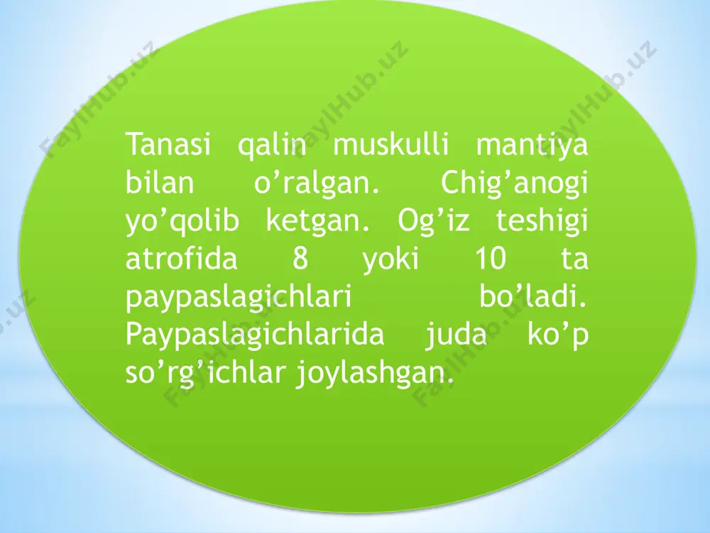 boshoyoqli molyuskalar sinfi - Page 5