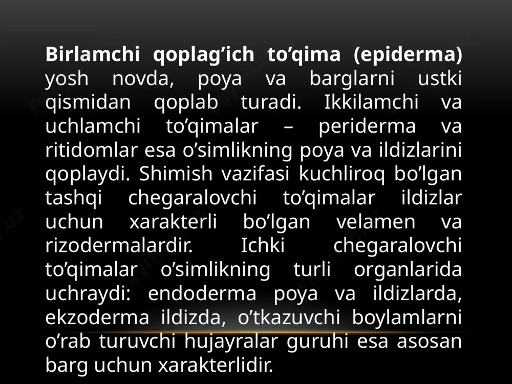 kllanadi. po’kak kambiysi tangental yo’nalishda bo’linishi natijasida ikki tur to’qima ajralib chiqadi. ularning biri po’kak kambiysining tashqi tomonidagi hujayralar bo’lib, po’kak qavatini hosil qilsa ichki markazga tomon ajralib chiqqan hujayralardan asosiy to’qima – felloderma hosil bo’ladi. po’kak to’qimalar hujayralari bir necha qavatdan iborat. hujayra qobig’ining suberin moddasini shimishi tufayli suv va gazlarni o’tkazmay qo’yadi va hujayralarning protoplasti halok bo’ladi. keyinchalik hujayra bo’shligi havo, oshlovchi yoki smolasimon moddalar bilan to’lib qoladi. image1.png image3.png image4.png /docprops/thumbnail.jpeg