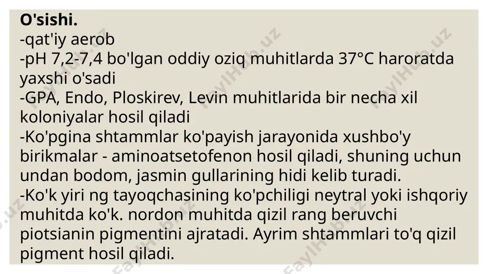 koʻk yiring tayoqchasi - Page 4