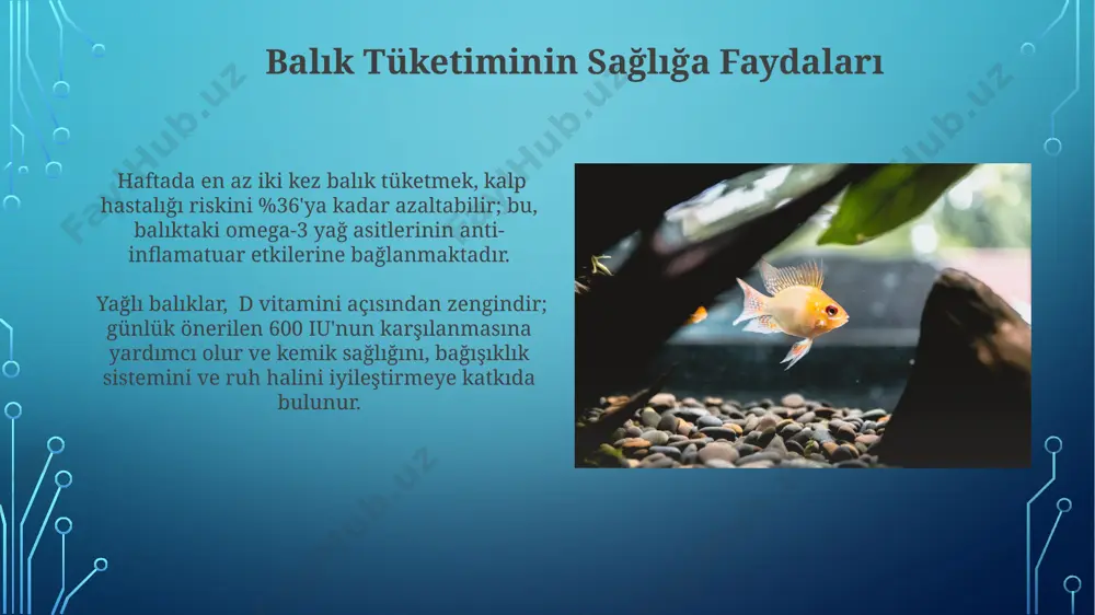 balıklar ve onların faydaları - Page 5
