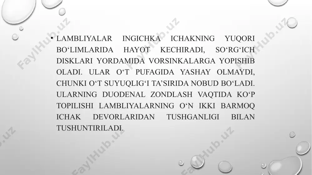 lyambiliya patalogiyasi - Page 4