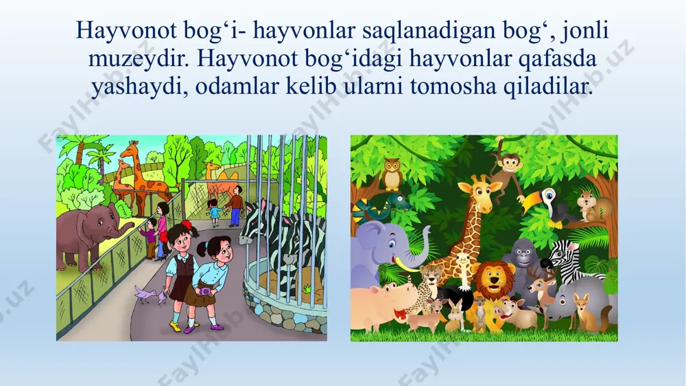 hayvonot bog‘i nima? - Page 2