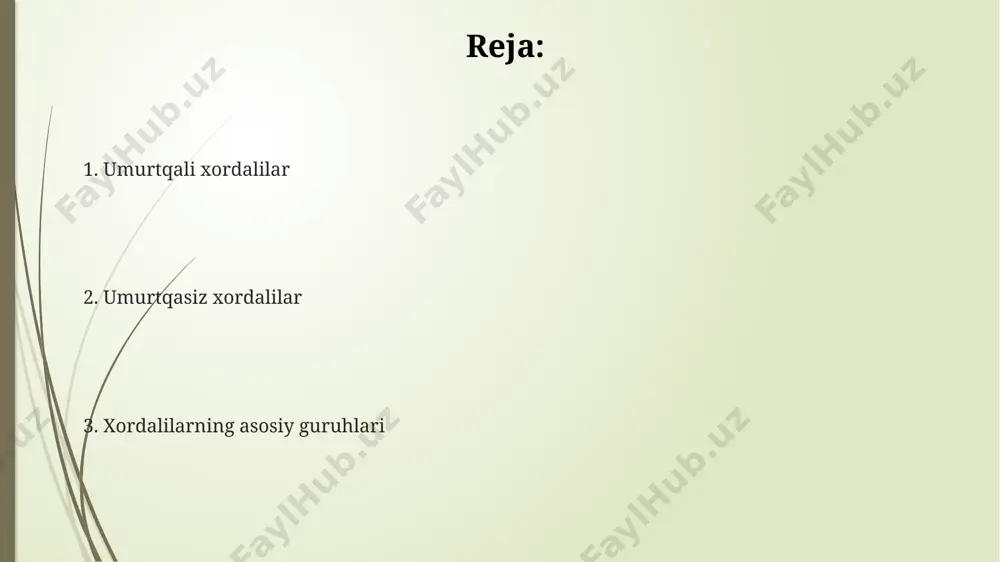muhitida, quruqlikda va havoda uchraydi; bu turli xil yashash muhitlariga moslashishning yuqori darajasidan dalolat beradi. xordalilarning morfologiyasi xordalilarning asosiy morfologik xususiyatlaridan biri, 3 asosiy qatlamdan (ektoderma, mezoderma, endoderma) tashkil topgan embrional rivojlanish davrida xorda deb ataluvchi tayoqsimon tuzilmaning mavjudligi hisoblanadi. xordalilarning nafas olish tizimi turlicha bo'lib, gillalar (baliqlarda), o'pkada (sutemizuvchilarda) yoki teri orqali (ba'zi amfibiyalarda) amalga oshiriladi; shu bilan birga yurak tuzilishi ham 2, 3 yoki 4 kamerali bo'lishi mumkin. ko'pchilik xordalilarning tanasi 2 tomonlama simmetrik bo'lib, segmentlangan mushaklar (miyomerlar) va segmentlangan skelet elementlariga ega. bu 30 dan ortiq segmentlar bo'lishi mumkin. xordalilarning filogeniyasi vertebrata subfilumining ichida 7 sinf mavjud bo‘lib, ularning har biri o‘ziga xos morfologik xususiyatlar va adaptatsiyalar bilan farqlanadi, masalan, suyak tuzilishi va nafas olish organlari. xordalilarning filogeniyasi 500 million yildan ortiq vaqt davomida evolyutsion o‘zgarishlarni aks ettiradi, 3 asosiy subfilum – cephalochordata, urochordata va vertebrata – ni o‘z ichiga oladi. molekulyar filogenetik tahlillar xordalilarning evolyutsiyasi to‘g‘risida …