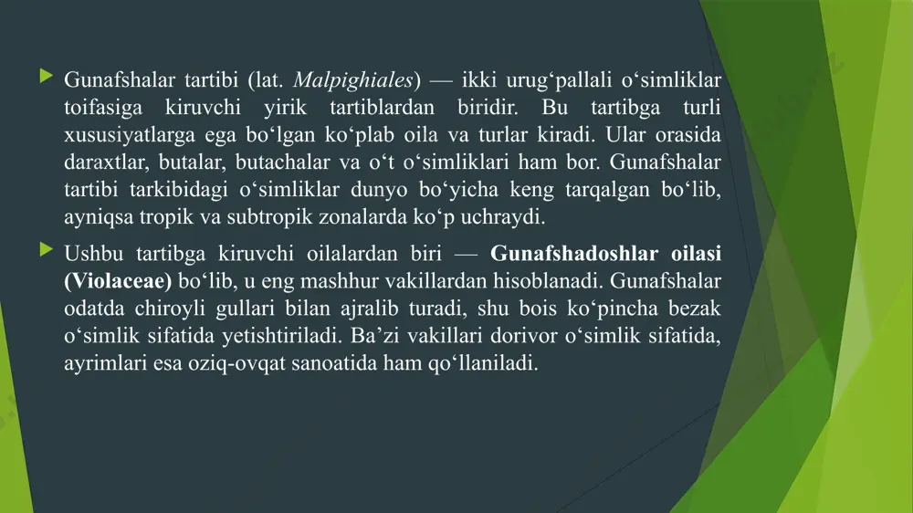 rida tarqalgan. uning 500 ga yaqin turi maʼlum. oʻzbekistonda 14 ta yovvoyi, 3 ta madaniy turi oʻstiriladi. erta bahorda ochiladi. poyasi yer bagʻirlab oʻsadi. gullari yirik, toʻq safsar, oq, sariq, havorang, xushboʻy hidli. binafsha yer tanlamaydi, salqin joylarda, shuningdek qishda berk joylarda ham oʻsadi. asosan, urugʻidan, ayrim turlari ildiz poyasini boʻlib ekish bilan koʻpaytiriladi. xushboʻy binafsha (v. odarata) ning guli (0,04%) va bargi (0,05%) dan efir moyi olinadi bezak o‘simlik sifatida: gunafshalar chiroyli gullari tufayli bog‘-rog‘larda, gul to‘plamlarida va xonalarni bezashda keng qo‘llaniladi. ayniqsa, viola (gunafsha) turlari yozgi bezak sifatida juda mashhur. dorivor xususiyatlari: ba’zi gunafsha turlarining gullari va barglarida foydali moddalar bo‘lib, ular shamollash, yo‘tal, isitma va yengil yallig‘lanishlarda xalq tabobatida ishlatiladi. gunafsha tinchlantiruvchi, terlatuvchi va yumshatuvchi vosita sifatida qadrlanadi. atir va parfyumeriya sanoatida: gunafsha gullaridan yoqimli hidli efir moylari olinadi, bu modda atirlar tayyorlashda ishlatiladi. oziq-ovqatda: ba’zan gunafsha gullari shirinliklar va pishiriqlarni bezash uchun ishlatiladi. ular ovqatlarga rang …