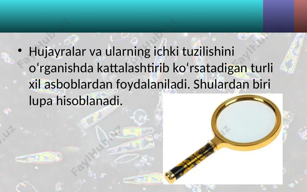 mlardan tashkil topgan? mikroskop buyumlarni necha marta kattalashtirib ko‘rsatadi?