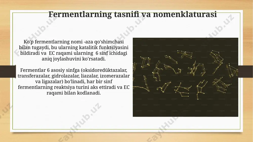 fermentlar - Page 3