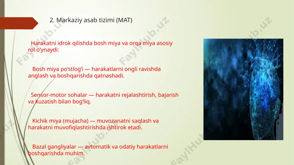 harakatni idrok qilishning fiziologik asoslari - Page 5