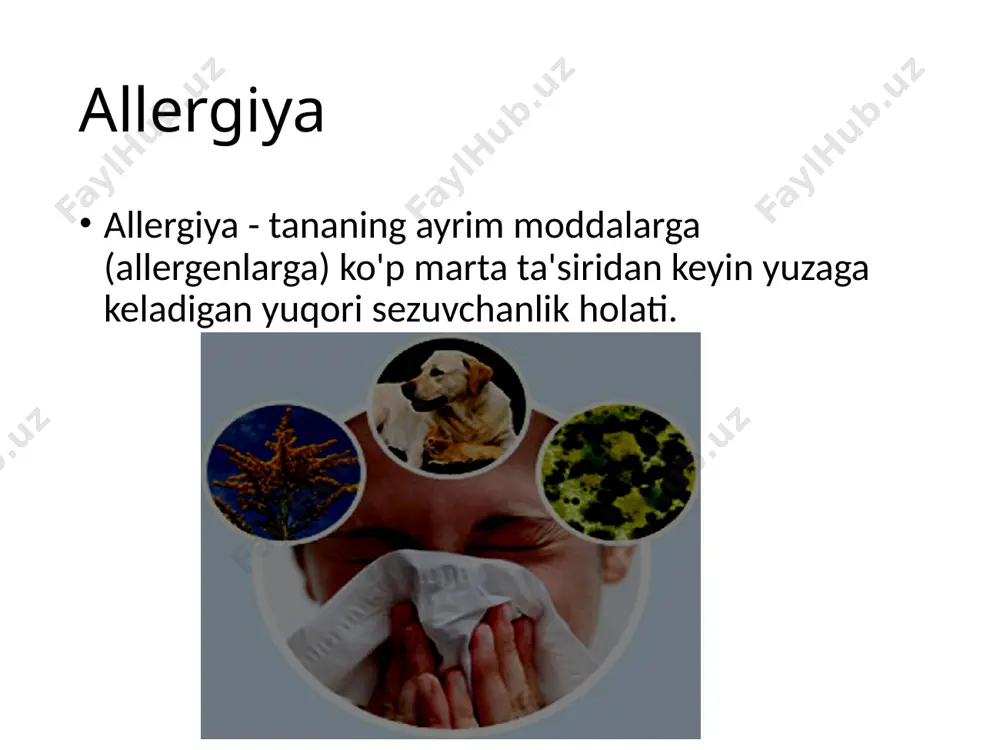 rajada engillashtiradi. maxsus immunoterapiya qanday amalga oshiriladi? sit faqat ushbu davolash usulini qo'llash tajribasiga ega bo'lgan allergist tomonidan amalga oshirilishi mumkin. terapevtik preparatlar sifatida tozalangan allergenlar, allergoidlar yoki boshqa o'zgartirilgan allergenlar qo'llaniladi. in'ektsiyalarning chastotasi haftasiga 2-3 marta kursning boshidan davolash kursining oxirida har 7-10 kunda 1 martagacha. allergen in'ektsiyalari eng nozik ignalar bilan teri ostiga o'tkaziladi, bu og'riqni yo'q qiladi. maxsus immunoterapiya qanday amalga oshiriladi? sit - bu juda uzoq muddatli davolash usuli (3 yildan 5 yilgacha davom etadi), ammo uni muvaffaqiyatli amalga oshirish dori-darmonlarga bo'lgan ehtiyojni sezilarli darajada kamaytirishga va, ehtimol, ko'p yillar davomida allergiya belgilari yoki astma xurujlarini to'liq to'xtatishga olib kelishi mumkin! 3 yillik davolanish kursi tugaganidan keyin 20 yil ichida kasallikning remissiya ehtimoli ba'zi olimlar tomonidan 70% ga baholanadi. maxsus immunoterapiyaning ta'siri nafas olish allergiyasi (antigistaminlar, bronxodilatatorlar va boshqalar) bo'lsa, simptomatik dori-darmonlarni va shoshilinch dori-darmonlarni qo'llash chastotasi kamayadi. bronxial astma va allergik rinit uchun asosiy terapiya …