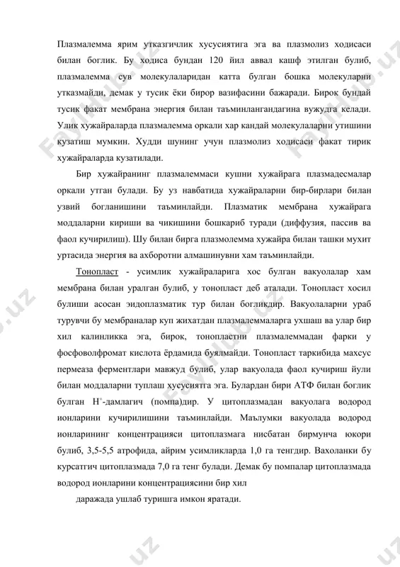 раналар бир-бирлари билан кушилиб кетган булади. ядро мембранасида бундай тешикларнинг мавжудлиги цитоплазма билан ядро уртасида моддаларни кучирилишига имкон яратади. ядрога днк ва рнк нинг утмишдошлари, гистонлар, рибосомал оксиллар утса, ядродан цитоплазмага м-рнк, т-рнк, рибосома булакчалари утади. ядро мембранасидаги тешикчалар сони юксак усимликлар хужайрасида 3000 гача бориши мумкин. ядро мембранаси эндоплазматик тур мембранаси билан бир бутун узликсиз тизимни ташкил килади. шундай килиб ядро олди бушлик эндоплазматик турнинг ички бушлиги билан боглангандир. бу уз навбатида ядро мембраналари эндоплазматик тур мембраналаридан хосил булишини курсатади. эндомембраналар концепцияси. бу концепция хх-асрнинг 70-йилларда ишлаб чикилган булиб, хужайранинг маълум мембраналари функционал жихатдан бир мунча ривожланган, узликсиз эндомембраналар тизимига бирлашган деб каралади. бу тизим компонентларига эндоплазматик тур, ядро, голжи аппарати хамда плазмалемма ва тонопластлар киради. бу тизимга хлоропласт ва митохондрийларнинг ташки мембраналари хам кушилади. бу эндомембраиа концетциясига кура хосил булаётган хар кандай янги мембрана асосан эндоплазматик тур ёки ядро мембранасидан хосил булади. бу жараён голжи аппарати билан хам …