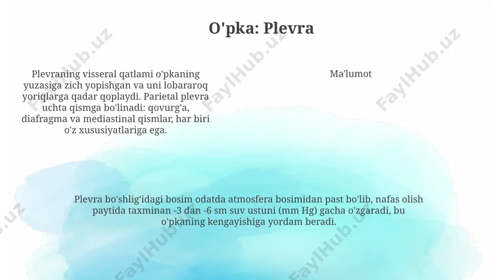 mondan qalqonsimon bez ismusining pastki qismi, orqa tomondan qizilo'ngach bilan chegaradosh. burun bo'shlig'i yuz skeletining o'rta qismida joylashgan bo'lib, o'rta chiziq bo'ylab burun to'sig'i bilan ikkita bo'limga, ya'ni o'ng va chap burun bo'shliqlariga bo'linadi. uning uzunligi taxminan 7-8 sm. nafas olish organlarining topografiyasi e'tiboringiz uchun rahmat @taqdimot_robot image1.png
