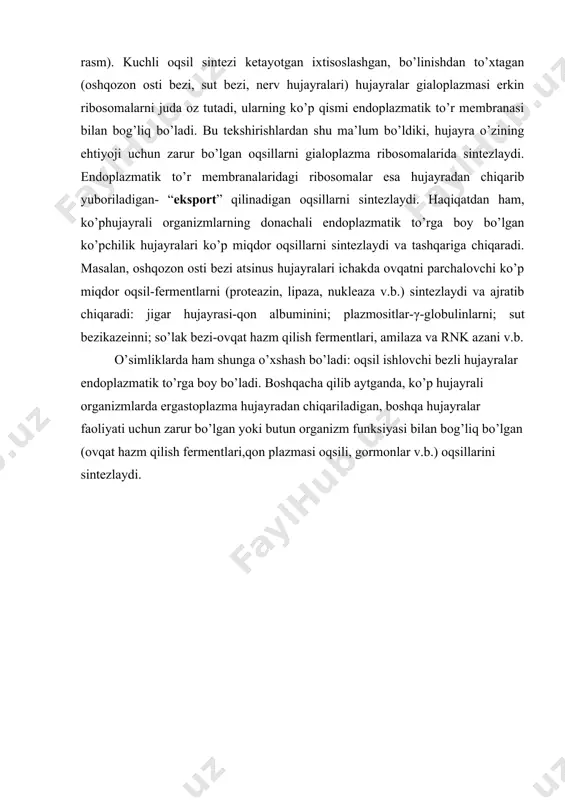 faqat hujayradan tashqarida ovqat hazm qilishda ishtirok etadigan fermentlargina emas, balki glikokaliksning oqsillari va glikoproteidlari ham bo’ladi. donachali endoplazmatik to’r eksport qilinadigan oqsillarni sintezidan tashqari, hujayra ichi ovqat hazm qilishda ishtirok etadigan fermentlarni sintezida ham qatnashadi. bu fermentlar fagotsitar yoki pinotsitoz vakuolalariga tushib, u yerda makromolekulalarni parchalaydi. donachali endoplazmatik to’r va uning faoliyatining mahsuli- oqsillarni o’rganish shuni ko’rsatdiki, ko’p hollarda, bu membranali tuzilma ribosomalarida shu hujayra moddalar almashinuvida ishtirok etmaydigan, o’ziga“kerak bo’lmagan”, ba’zan zararli oqsillar sintezlanar ekan. masalan, sut bezi hujayralari ularning o’sishi va ko’payishi uchun hech kerak bo’lmaydigan sut kazeinini sintezlaydi. ovqat hazm qilish bezlari hujayralari turli makromolekulali moddalarni parchalaydigan gidrolitik fermentlarni ishlab chiqaradi. shuning uchun, bunday fermentlarni hujayra gialoplazmasiga chiqarilishi, shu hujayraning o’limiga (avtoliz) olib kelishi mumkin. ammo bunday bo’lmaydi, chunki sintezlangan bu moddalar tezda endoplazmatik to’r membranasi orqali o’tib, vakuolalarga tushadi va gialoplazma hamda uning boshqa strukturalaridan ajraladi. bunday oqsillar endoplazmatik to’r membrana sistemasi orqali ajraladi va …