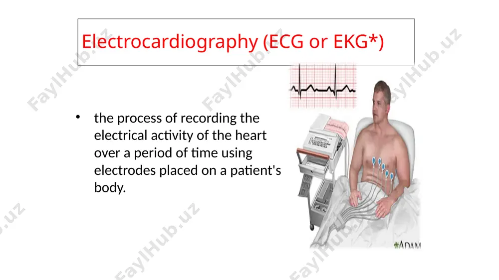 physical basis of electrocardiography and vectorcardiography - Page 3