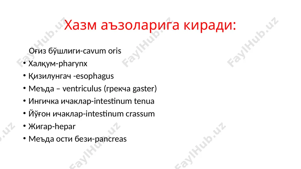 s дан иборат. тиш тоши милкдан чиқиб туради. бўйни эса милк билан ушланиб турса, илдизи жағнинг тиш катакчасида туради. тиш илдизи radix dentis нинг чўққиси apex radicis бор. ундаги тешик орқали қон томир ва нервлар киради. тиш тожининг ичида бўшлиғи бор. бўшлиқ тож ва илдиз қисмларига бўлинади. тиш бўшлиғининг илдиз қисми илдиз каналига, canalis radicis dentis давом этади. тиш бўшлиғи тиш мағзи pulpa dentis билан тўлиб туради. тиш илдизи тиш катакчаларга суяк усти пардаси periodontium билан зич ўтиради. тишлар тишнинг қаттиқ моддаси: 1) дентин, dentinum 2) эмал, enamelum ва 3) цемент cementum дан иборат. тиш бўшлиғини ўраб турувчи асосий массани дентин ташкил қилади. эмал тиш тожини қопласа, илдизини цемент қоплаб туради. тишлар юқори ва пастки жағда тиш қаторини ташкил этади. ҳар бир қаторда 16 тадан тиш ёй шаклида жойлашади. ҳар бир тишнинг 5 та юзаси бор 1) лаб юзаси facies labialis ёки facies vestibularis 2) тилга қараган юзаси facies lingualis …