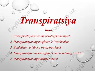 transpiratsiya — PPTX