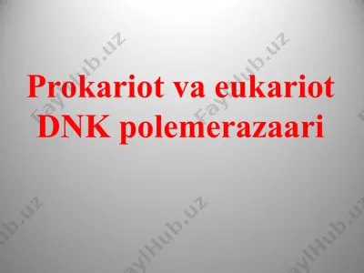 prokariot va eukariot dnk polemerazaari — PPTX