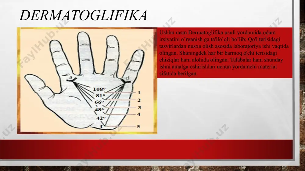 dermatoglifika usullari - Page 5