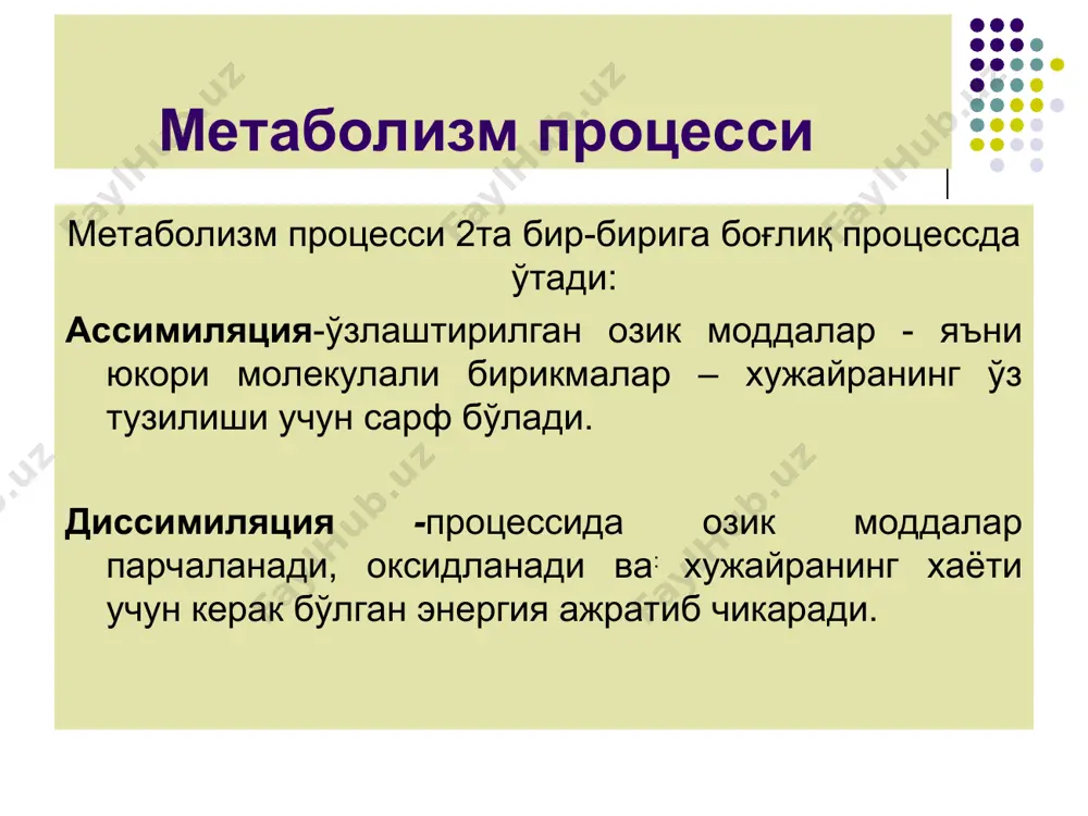 айрасининг органик моддалари хисобига яшайди ва кўпаяди. масалан, вируслар, риккетсиялар. азот хазм килиш характерига караб микроорганизмлар 2 группа бўлинади: аминоавтотрофлар - хужайра оксилининг синтези учун хаводаги молекуляр азотдан фойдаланади ёки аммоний тузларидан олади. аминогетеротрофлар - азотни органик бирикмалардан: аминокислаталардан, мураккаб оксиллардан олади. энергия манбаларига караб микроорганизмлар: 1. фототрофлар- биосинтез реакциялари учун куёш нуридан энергия олади. 2. хемотрофлар - неорганик моддаларнинг оксидланишидан ва органик моддалардан энергия олади. хозирги вактда микроорганизмларнинг озикланиш типларининг характеристикасига караб янги терминология киритилган: 1. гетеротрофлар органотрофлар деб аталади 2. автотрофлар литотрофлар деб аталади озиқ моддаларининг транспорти (ташилиши) озик моддалар микроб хужайрасининг цитоплазмасига факат кичкина молекула холида ва эриган холда кириши мумкин. мураккаб органик моддалар (оксиллар, полисахаридлар) микроб хужайрасидан чиккан ферментлар таъсирида парчаланади. озик моддаларнинг кириши ва чикиб-кетиш процесслари бактерия хужайрасининг цитоплазматик мембранаси оркали боради. озик моддалар хужайра ичига бир неча йўллар билан киради: пассив диффузия -бунда озик мухитдаги моддалар микдори микроб хужайрасидаги шундай моддалар микдоридан юкори бўлади,шу …