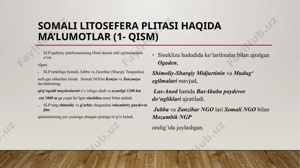 somali litosfera plitasi - Page 5