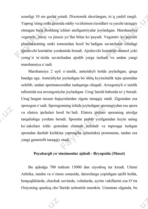 eya yo`sinlarda) ko`sakcha to`rtta bo`lakchaga ajralib ochiladi va sporalar tashqi muhitga tarqaladi (4rasm). sporadan protonema o`sadi, jigarsimon yo`sinlarnikiga nisbatan ancha ko`proq taraqqiy etgan, yaproqsimon yoki ipsimon shaklda. 3- rasm. marshansiyanamolar badbo`y 4-rasm. bargpoyali yo`sinlar manniya (mannia fragilis) va ko`p shaklli ko`sakcha va qalpoqchalarining turli marshansiya (marchantia polymorpha) shakllari ko`payishi va taraqqiy sikli protonemada kurtaklar shakllanib, undan yangi gametofit o`sib chiqadi. bu ajdod vakillarida ham vegetativ yo`l bilan ko`payishni kuzatish mumkin. ayrimlarida vegetativ tananing bo`laklari yordamida (masalan, poyasi, bargi, hatto protonemasidan), ko`pincha esa tanasining turli qismlaridagi ajraluvchi kurtaklar orqali ko`payadi. bu kurtaklar shamol va suv yordamida tarqalib, undan yangi gametofit o`sadi. ayrim vakillarida rizoidlari tugunakchalar hosil qiladi. poyabargli yo`sinlarning xo`jalikdagi ahamiyati xilma-xildir. poyabargli yo`sinsimonlar ajdodi 3 ta kichik ajdod (ajdodcha)ga bo`linadi: 1. sfagnumkabilar - sphagnidae 2. andreyakabilar - andraeidae 3. yashil yo`sinkabilar (briumkabilar) - bryidae. sfagnumkabilar kichik ajdodi – sphagnidae bu ajdodchaga bittadan qabila (sphagnales), oila (sphagnaceae), turkum (sphagnum) va 300 …
