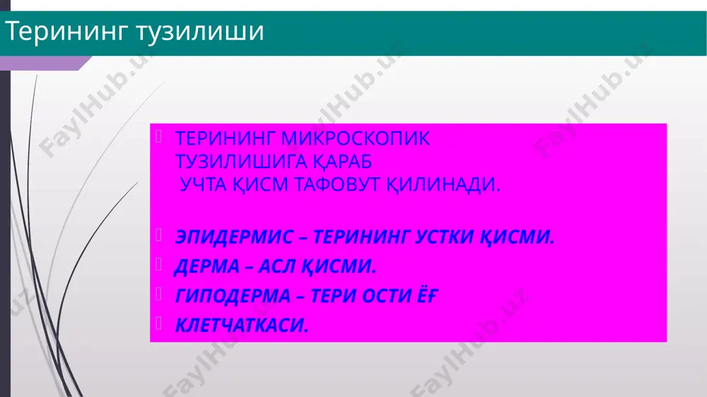 нини фарқ қилиш жуда мухим. бирламчи ва иккиламчи морфологик элементлар тафовут қилинади. бирламчи морфологик элементлар –ўзгармаган терида биринчи бўлиб пайдо бўлган тошмалардир. уларга доғ. тугунча, дўмбоқча, тугун, (булар инфильтратив тоифадаги бирламчи элементлардир) торвоқ, пуфак, пуфакча, йирингча ёки мадда (булар эксудатив тоифадаги бирламчи элементлардир) киради. бирламчи элементлар бўшлиқли ва бўлиқсиз деб икки хил тоифага ажратилади. бўшлиқсизларга доғ, тугунча, тугун, дўмбоқча, торвоқ киради, қолганлари бўшлиқлидирлар. иккиламчи морфологик элементлар — булар бирламчи элементларнинг эволюцияси (ўзгариши) оқибатида улардан пайдо бўлган тошмалардир. иккиламчи элементларга пигментация (гиперпигментация, гипопигментация), тангача, эрозия, тирналиш, яра, ёриқ, қалоқ, чандиқ, лихенификация, вегетация киради. бўшлиқли бирламчи элементлар бўшлиқли элементлар ичида сероз, геморрагик ёки йирингли суюқлик тутадилар. буларга пуфакча, пуфак ва мадда киради. бўшлиқсиз бирламчи элементлар бўшлиқсиз элементларга доғ, тугунча, тугун, торвоқ, дўмбоқча киради инфильтратив характердаги бирламчи морфологик элементлар доғ, тугунча, дўмбоқча, тугун. экссудатив характердаги бирламчи морфологик элементлар пуфакча, пуфак, йирингча, торвок бирламчи морфологик элементлар доғ (macula)- характеризуется чекланган сохада терининг рангини ўзгаришини …