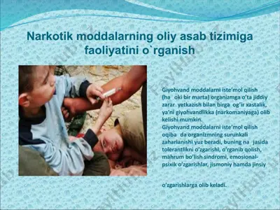 narkotik moddalarning oliy asab tizimiga faoliyatini o`rganish — PPTX