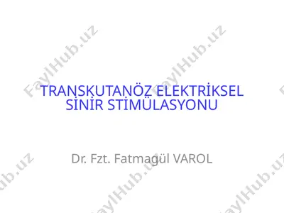 transkutanöz elektriksel sinir stimülasyonu — PPTX