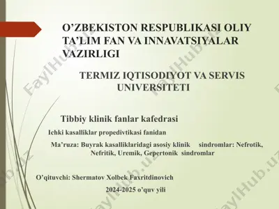 buyrak kasalliklari — PPTX