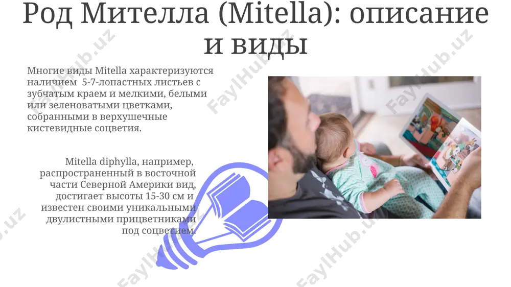 разнообразием в центральной азии. род астильба (astilbe): описание и виды цветки астильбы собраны в метельчатые соцветия высотой до 60 см, различных оттенков розового, красного, белого и пурпурного, цветение которых длится 3-4 недели. род astilbe насчитывает около 30 видов, распространённых преимущественно в восточной азии, включая японию и китай, и характеризуется наличием сложных перистых листьев. введение в семейство камнеломковые (saxifragaceae) семейство камнеломковые (saxifragaceae) насчитывает около 35 родов и более 600 видов, распространённых преимущественно в умеренных и холодных регионах северного полушария, включая горы гималаев. многие представители saxifragaceae обладают суккулентными листьями, как, например, около 200 видов рода sedum, адаптированных к засушливым условиям средиземноморья и африки. плоды камнеломковых 01 02 в отличие от коробочек и листовок, некоторые камнеломковые, например, около 15 видов рода heuchera из северной америки, формируют сочные плоды — ягоды, способствующие распространению семян птицами. sales 1st qtr 2nd qtr 100 0 sales 1st qtr 2nd qtr 100 0 род фиалка (chrysosplenium): описание и …