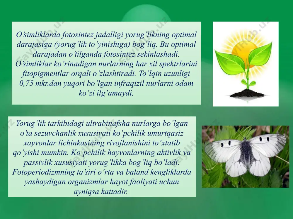 iqlim omillari - Page 5
