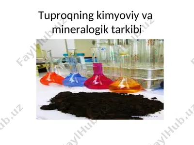 tuproqning kimyoviy va mineralogik tarkibi — PPT