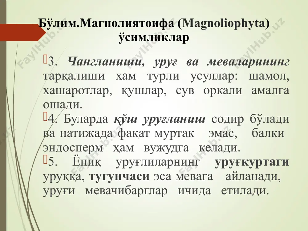 осиёдаги магнолиялар баргини тўкади. оила: магнолиядошлар-magnoliaceae туркум: магнолия-magnolia тур: магнолия суланжа - magnolia soulangeana манзарали ўсимлик (гибрид. magnolia denudata ва magnolia liliora). бўйи 3-6 м га етадиган йирик, кўп пояли бута. паст ҳароратга чидамли. апрель-майда гуллайди, ширин ҳид чиқаради (оқ, пушти, кулранг, қизғиш кулранг). ёз оҳирида қайтадан гуллайди. оила: магнолиядошлар-magnoliaceae туркум: магнолия-magnolia тур: юлдузсимон магнолия -magnolia stellata бўйи 2 м дан 5 м гача борадиган эрта гулловчи баргли дарахт ёки бута. пояси пастки қисмидан шохланади, шакли кенг тухумсимон кўринишга эга бўлади. гуллари юлдузсимон, диаметри 10 см дан 15 см гача, тожбарглари узун ингичка. навига қўра улар, оқ, пушти ёки тўқ пушти рангда бўлади. ширин ҳидли. ватани: япония бўлим: магнолиятоифа ўсимликлар – magnoliaphyta синф: икки уруғпаллалилар-dicotyledones қабила: магнолияномалар-magnoliales оила: магнолиядошлар-magnoliaceae туркум: лола дарахти-liliodendron тур: лола дарахти- liliodendron tulipifera l. оила: магнолиядошлар-magnoliaceae туркум: лола дарахти-liliodendron тур: лола дарахти- liliodendron tulipifera l. оиланинг яна бир манзарали ўсимлик сифатида ўстириладиган тури – лола дарахти …