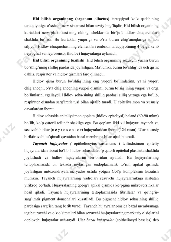 sil qiladi. tayanch hujayralarining tcitoplazmasida fibrillalar va qo’ng’ir-sarg’imtir pigment donachalari kuzatiladi. bu pigment hidlov sohasining shilliq pardasiga sarg’ish rang berib turadi. tayanch hujayralar orasida bazal membranaga tegib turuvchi va o’z o’simtalari bilan sezuvchi hu-jayralarning markaziy o’siqlarini qoplovchi hujayralar uch-raydi. ular bazal hujayralar (epitheliocyti basales) deb ata-lib, tonofibrillalar saqlamaydi. bu hujayralar sezuvchi hidlov hujayralari uchun yangilanish manbai deb hisoblanadi. retceptor yoki hidlov hujayralari (cellulae neurosensoriae olfac toriae) haqiqiy nerv elementlari bo’lib, ularning peri-ferik uchlari retceptor apparatiga aylangan. retceptor hujay-ralar tayanch hujayralar orasida joylashib, oval shaklli tana-sida yumaloq yadro joylashadi. hidlov hujayralarining yadro 124- rasm. burun bo’shlig’ining hid bilish sohasi (sxema). 1 - tayanch hujayralar; 2 - xid hujayralari; 3 - hidlov xujayralarining periferik o’sim. talari: 4 - hillon ^ujayralarining <id ii.nsh o’simtasi; 5 - hidlov hujayrasining akson-lark 6 - qon tsmir; 7 - -idlev (bouman) bezi; 8 - bez chiqaruv nayi (ya.a. vpnni kov va l k. titovadan). joylashgan qismlari hidlov …