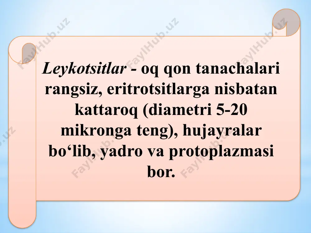 a me’yordan kamayishiga aytiladi. leykopeniyada barcha turdagi oq qon hujayralari yoki biror turdagi leykositlar kamayadi. leykositlarni kamayshini leykopoezni toksinlar ta’sirida zaiflashishidan yoki ularni o‘limini kuchayganida hosil bo‘ladi. leykopeniyani cho‘chqalarni o‘lati, buzoqlarni salmonellyoz-paratif, margimush, benzol, sulfanilamid preparatlari bilan zaharlanganda, rentgen nurlari va ionlashtiruvchi radiasiya ta’sirida ham hosil bo‘ladi. leykopeniya turlari neytropeniya eozonopeniya limfotsitopeniya monosito pineya surtma tayyorlash uchun tekshirilayotgan hayvonning quloq venasidan tozalikga rioya qilgan holda bir tomchi qonni buyum shishasi ustiga olib, ikkinchi buyum shishasining qirrasi yordamida bir tekis qilib surkab chiqiladi; - uy haroratida quritamiz, - spirt-efir eritmasining (50:50) barobar olingan yoki metil spirti yordamida jipslashtiriladi. - 1:15 ga nisbatida (1 qism gimza-ramonovskaya bo‘yog‘ini 15 qism distillangan suvda aralashtirib ishchi bo‘yoq tayyorlaymiz). surtma tayyorlash texnikasi - tayyorlangan bo‘yoqni buyum shishasidagi jipslashtirilgan surtma ustiga qo‘yib 30-35 daqiqa davomida surtmani bo‘yaymiz. - surtma yaxshi bo‘yalganidan keyin suv tarmog‘idan kelayotgan suvni engil oqizib, surtmani yuvamiz. - surtmani uy haroratida tik xolatda quritamiz …