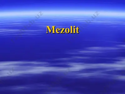 mezolit — PPT