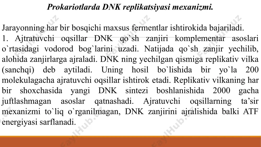 ir-biridan ma’lum masofada tutib turish vazifasini bir nechta maxsus oqsillar bajaradi. xelikaza (helix – burama, spiral so`zidan olingan) nomli fermentlar dnk ning replikativ ayri yaqinidagi qisqa bo`laklarni yechib beradilar; buning uchun 2 molekula atf gidrolizidan hosil bo`ladigan energiya kerak. ajralgan zanjirlar qaytadan qo`shilib ketmasligi uchun dnk-bog`lovchi oqsillar, replikatsiya jarayonida zanjirlarning juda tez yechilishida uzilib ketmasligi uchun giraza (guration – aylanish so`zidan olingan), eukariotlarda topoizomeraza va yana bir qator fermentlar va oqsillar, matritsa va initsiatorlar qatnashadi. dnk-giraza fermenti yordamida qisqa ajralish va birikishlar sodir bo`ladi. u xelikazaga replikatsiya uchun dnk ni qayta aylantirishga yordam beradi. zanjirlarning yoyilishida har bir qo`sh asosning ajratilishi uchun ikki molekula atf – gidroliz energiyasi sarf bo`ladi. umuman, dnk ning yoyilishi dnk replikatsiyasining eng qiziqarli va eng murakkab muammolaridan biridir. 1969 yilda yapon olimi reydji okazaki har ikkala zanjir bir vaqtda replikatsiya qilinganda bir zanjir uzluksiz, ikkinchi yangi zanjir esa kalta fragmentlar shaklida sintezlanishini kashf etdi. uzluksiz …