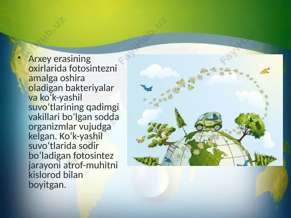 o‘simliklar filogenezi. o‘simliklarning vegetativ organlari filogenezi. 11 - sinf - Page 4