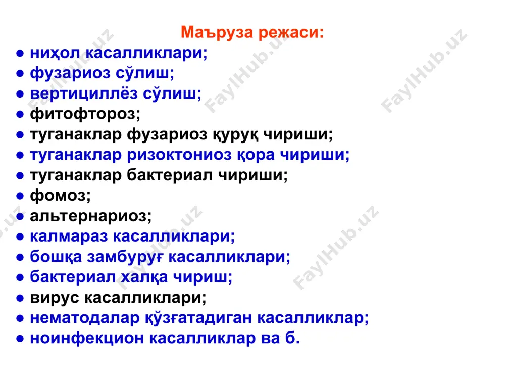 нади ва соғломларига тез ўтади. физиологик кучсиз туганаклар кучлироқ зарарланади, одатда бу бактериялар замбуруғлар зарарлаган туганакларни иккиламчи зарарлайди ва картошка чиришини тугаллайди. зарарланган туганаклар, айниқса 15о-20ос ҳароратда, 3-6 кун ичида батамом чирийди. сабзавот экинлари ва картошкада юмшоқ чириш қўзғатувчи erwinia туркумига мансуб бактерияларнинг ривожланиш цикли қишлоқ хўжалик фитопатологияси картошка касалликлари картошка ниҳолларининг “қора сон” ва туганакларининг юмшоқ бактериоз чириш касаллиги кураш чоралари. чидамли навлар яратиш ва қўллаш, экиш учун қуруқ, соғлом, фунгицид (бактерицид) билан дориланган уруғлик туганак ишлатиш, нам тупроққа экмаслик; далани керагидан ортиқ суғормаслик; алмашлаб экишни жорий этиш; ниҳоллар янги ўсиб чиққанда ва экин гуллаганда касалларини ягана қилиб, даладан чиқариб, йўқотиш; ҳосилни йиғиш, ташиш, омбохоналарга жойлаш ва сақлаш жараёнида механик жароҳат етказмаслик, уларни қуритиб, сўнгра қуруқ жойларда, 2-4ос ҳарорат ва 90-95% ҳнн да сақлаш лозим. картошка фузариоз сўлиши (фузариоз вилт) картошка фузариоз сўлишини қўзғатувчи замбуруғ турлари: fusarium oxysporum f. tuberosi – фузариум оксиспорум форма туберози ҳамда fusarium туркумининг баъзи …