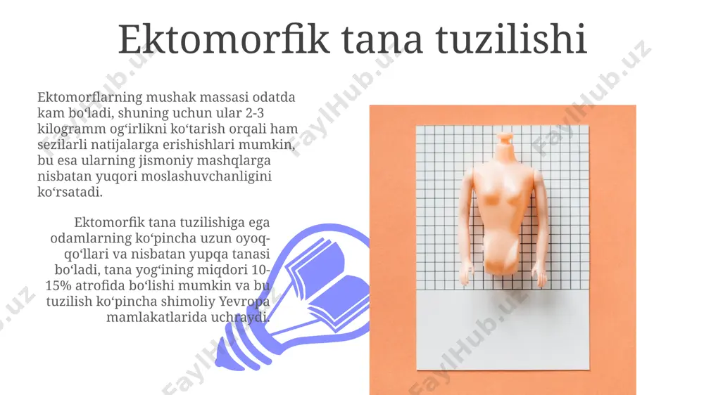 kattalar gavda tuzilishining tiplari - Page 3