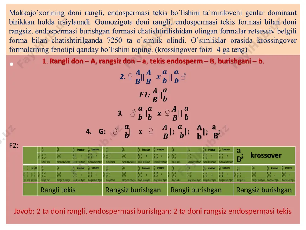 junli, pushti ko‘zli, 54 ta qoramtir junli, qizil ko‘zli. shu genlar o‘rtasidagi masofani aniqlang ? drozofila pashshasi tanasining kulrang bo‘lishi qora bo‘lishi ustidan, qanotining uzun bo‘lishi kalta bo‘lishi ustidan dominantlik qilib, bitta autosoma xromosomasida joylashadi. ko‘zining qizil bo‘lishi oq bo‘lishi ustidan dominantlik qilib, jinsiy xromosomada joylashadi. shunga ko‘ra digeterozigota (ushbu dominant genlarni faqat otasidan olgan) kulrang tanali, normal qanotli, oq ko‘zli urg‘ochi pashsha va tanasi qora va kalta qanotli, qizil ko‘zli erkak pashshalar chatishtirilgan bo‘lsa, avlodning necha foizi qora tana qizil ko‘zli bo‘ladi? (krossingover 17%) kapalaklarda tananing rangli va qanotlarida o‘simtalarning bo‘lishi dominant autosomada birikkan holda irsiylanadi. (krossingover 6%). digeterozigota urg‘ochi kapalak (dominant genlar faqat otasidan o‘tgan) tanasi rangsiz, qanotida o‘simtalar bo‘lmagan erkak kapalak bilan chatishtirilganda 800 ta avlod olindi. avloddagi kapalaklarning qanchasi tanasi rangli bo‘lib, qanotlarida o‘simtalar bo‘lmaydi? gemofiliya va daltonizm kasalliklari x-xromosomada joylashgan retsessiv gen orqali nasldan-naslga o‘tadi. ushbu genlar orasidagi masofa 9,8 morganidaga teng. onasi daltonik bo‘lgan, …