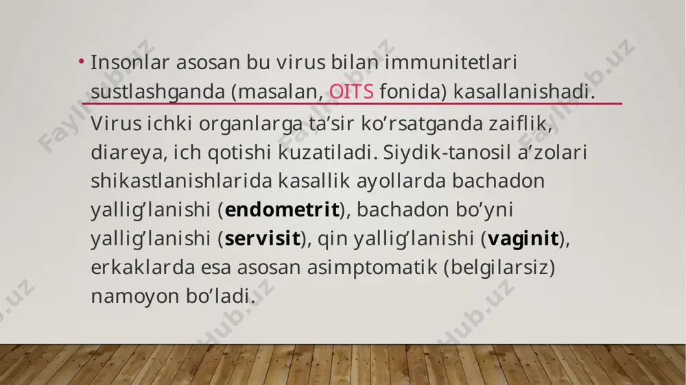 sitomegalovirus - Page 4