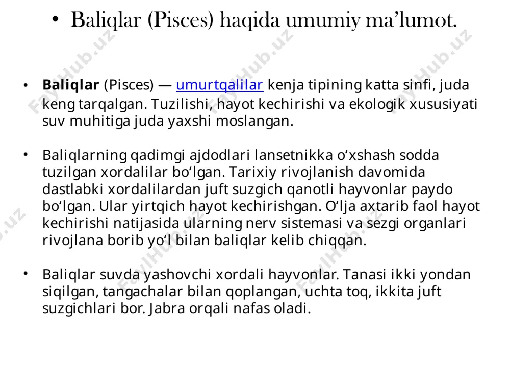 joylashgan. ko`zlarining orqasida ikkita halqumga ochiladigan sachratqichlari bo`ladi. gavdaning ostki tomonida dumning oldida kloaka bor. dum suzgich qanoti teng pallali bo`lmaydi, ya'ni ustki pallasi pastkisiga nisbatan katta bo`ladi. bunday dum suzgich qanoti geteroserkal dum deyiladi. gavdaning oldingi yon tomoniga gorizontal joylashgan juft ko’krak suzgich qanoti, orqa qismining qorin tomonida esa juft qorin suzgich qanoti joylashgan. erkaklarining qorin suzgich qanotining bir qismi o`zgarib, kopulyativ organga aylangan. orqasining keyingi tomonida ikkita toq orqa suzgich qanoti joylashgan. qorin suzgich qanotining orqa tomonida toq orqa chiqaruv suzgich qanoti bo`ladi. og`iz teshigi boshning ostki tomonida ko`ndalang joylashadi. og`zining ustki tomonida bir juft burun teshigi bor. epidermisi ko`p qavatli bo`lib, bir hujayrali bezlarga boy, chin teri tolali biriktiruvchi to`qimadan tuzilgan. terisi plakoid tangacha bilan qoplangan. bu tangacha plastinka shaklida chin terida joylashgan. tangacha suyakka yaqin dentin degan moddadan tuzilgan, konusi esa maxsus emal modda bilan qoplangan. plakoid tangachalar jag`ga o`tar ekan, chin tishlarga aylanadi. bosh bilan …