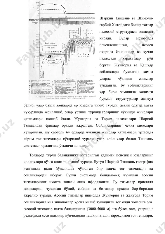 ди, тароқсимон тоғ тепалари, аниқ ажралиб турадиган ўткир чўққилар деярли йўқ. фақат баланд тоғ массивларининг юқори қисмлари музлик таъсирида типик альп типли рельефга эга бўлган. лекин бу ерларда ҳам алоҳида кўтарилиб турган чўққилар кам. бутун тяншань қирғизистон сер билан хитой чегарасида энг катта баландликка кўтарилади, бу ердаги ғалаба чўққиси 7439 метрга, хонтангри массиви 6995 м га етади. шарқий тяншаннинг энг баланд нуқтаси хонтангридан шарққа қараб чўзилиб кетган холиқтоғ тизмасида жойлашган. бу тизмадаги энг катта баландлик 6811 м, богдошань тизмасидаги богдо-ула массиви 5445 м га кўтарилган. тяншаннинг шимоли-ғарбий тизмаси боро-хоро жунғория олатови билан туташган. жунғория олатови совет иттифоқи чегараси бўйлаб чўзилиб, жунғория сойлигини шимоли-ғарбдан ўраб туради. шарқий тяншань сойликлари турли хил баландликда жойлашган ва ёш чўкинди жинслар билан тўлган. уларнинг баъзиларида кўллар бор, баъзилари қуруқ ва шўрхоклар билан банд. энг баланд сойликларнинг таги денгиз сатҳидан 1000 м дан юқорида жойлашган, уларнинг энг пасти тўрфон ёки люкчун сойлиги денгиз сатҳидан 154 м …