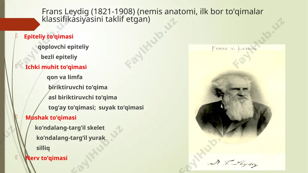 ra, 6-bazal membrana, 7-siyrak tolali shakllanmagan biriktiruvchi hujayra, 8-qon tomir bu epiteliy og‘iz bo‘shlig‘ining ichki yuzasini, qizilo‘ngachning shilliq qavatini va ko‘zning muguz pardasini qoplaydi. 1-bazal hujayralar qavati; 2 - tikanaksimon hujayralar qavati; 3 -yassi hujayralar qavati; i -bazal membrana; ii - biriktiruvchi to'qima . ko`p qavatli yassi muguzlanmaydigan epiteliy ko’p qavatli yassi muguzlanmaydigan epiteliy ko’p qavatli yassi muguzlanmaydigan epiteliy (qizilo’ngachning ko’p qavatli yassi muguzlanmaydigan epiteliysi) ko`p qavatli yassi muguzlanadigan epiteliy bu epiteliy terining epidermis qavatini tashkil qiladi. u bir necha qavat joylashgan hujayralardan tuzilgan. morfofunksional xususiyatlariga qarab 5 ta qavat tafovut qilinadi: bazal qavat, tikanaksimon hujayralar qavati, donador, yaltiroq va muguz qavatlar 1-muguz qavat, 2- yaltiroq qavat 3-donador hujayralar qavati 4-tikansimon hujayralar qavati 5-bazal qavat 6-bazal mebrana 7-biriktiruvchi to`qima 8-melonotsit terining ko’p qavatli yassi muguzlanadigan epiteliysi (epidermis) o `zgaruvchan epiteliy o‘zgaruvchan epiteliy siydik yo`llarining, buyrak kosachasi va jomi, siydik pufagining ichki yuzasini qoplab turadi. a ’zolarning siydik bilan to`lgan va …