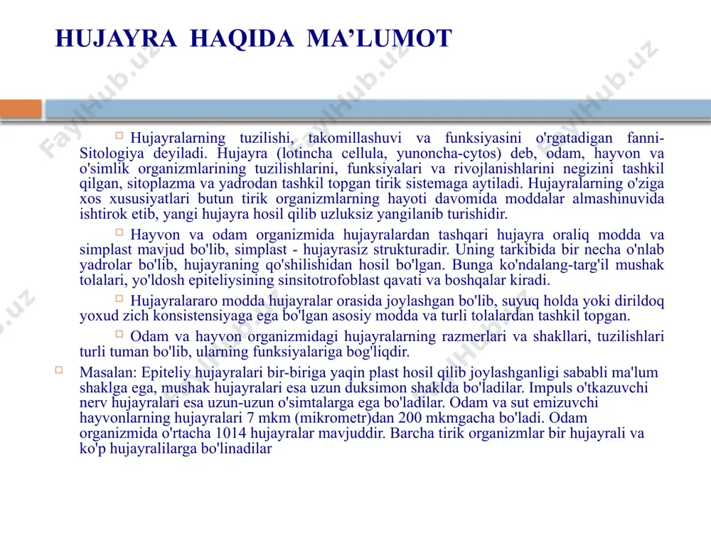 biy qismiga hujayra qobig'i, sitoplazma va yadro kiradi hujayra tashqi muhitdan sitoplazmatik membrana- parda (hujayra qobig'i) bilan ajralgan bo'lib, yadrodan tashqari hujayra ichidagi tuzilmalarning hammasi sitoplazma deb nomlanadi a). hujayra ustki yuzasining maxsus strukturalariga mikrovorsinkalar, kipriklar misol bo'ladi. b). qo'shni hujayralar yon yuzasidan maxsus tuzilmalar, oddiy va zich birikishlar, desmosomalar tirqishli tutatishlar, sinapslar va sinaptik birikishlar, interdegitasiyalar kiradilar. v). bazal plazmatik membrananing maxsus tuzilmalari: burmalar, gemidesmasomalar va boshqalar. hujayrani dastlab ingliz olimi r. guk 1665 yilda kashf etgan. u buzina o‘simligining qoplovchi to‘qimasi – probkani ko‘rayotib, unda bo‘shliqlarni kuzatdi va ularni “kletka” deb atadi. image3.jpeg image4.gif image5.jpeg image6.jpeg