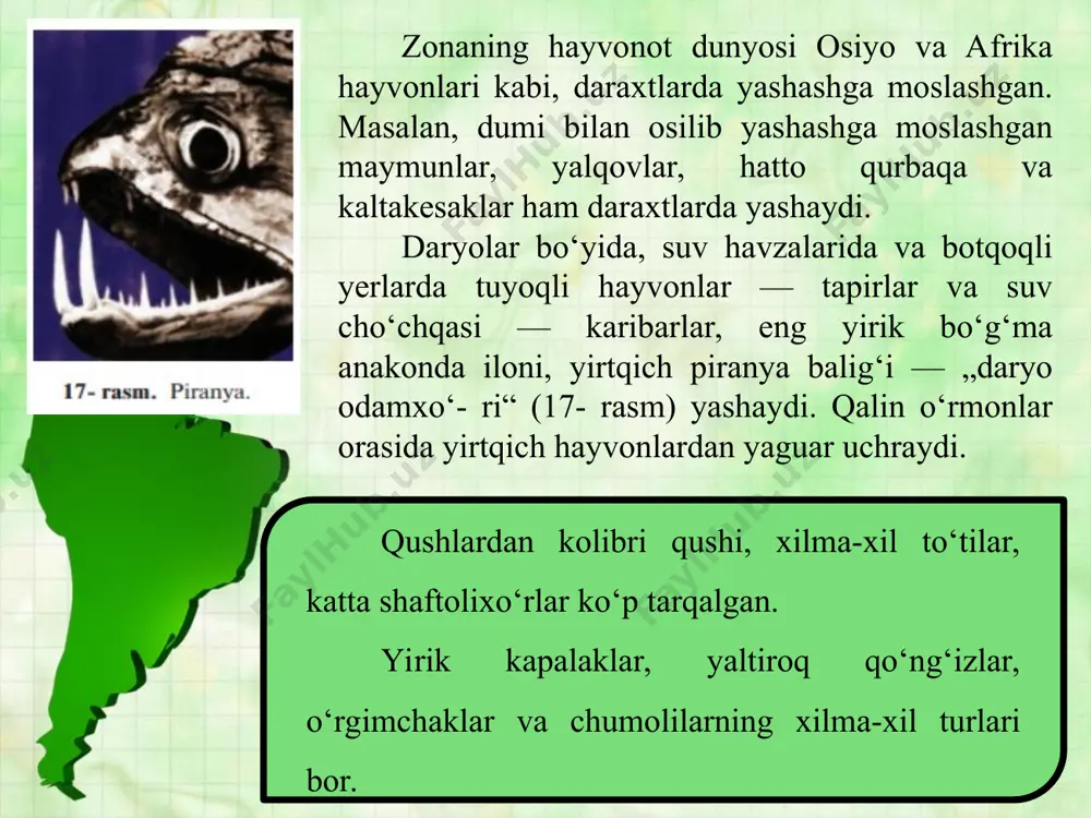 janubiy amerikaning tabiat zonalari va balandlik mintaqalari 6-sinf - Page 5