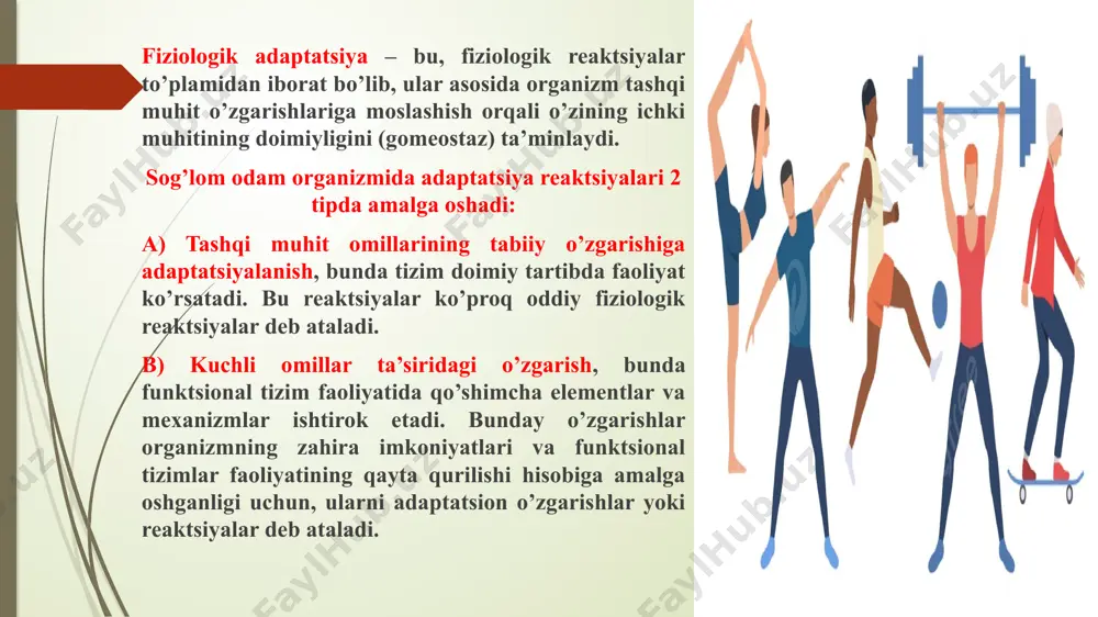 tsiyalanish; v) dizadaptatsiya; g) readaptatsiya (qayta moslashish). preadaptatsiya (organizmni fiziologik zo’riqishi) bosqichida - bosh miya katta yarim sharlari po’stlog’ida qo’zg’alish jarayoni ustunlik qiladi. qo’zg’alish po’stloq osti va quyida joylashgan harakat va vegetativ markazlargacha tarqaladi. buyrak usti bezlari, vegetativ tizimlar faolligi va moddalar almashinuvi darajasi ortadi. harakat apparatida faol harakat birliklari sonining ko’payishi muskullarning qisqarish kuchi va tezligini oshiradi. muskullarda glikogen, adenozintrifosfat kislota (atf) va kreatinfosfat (kf) miqdori ortadi. bunda sport faoliyatida mehnat qobiliyatchanligi turg’un tavsifga ega bo’lmaydi. bu bosqichda asosiy yuklama funktsiyalarni boshqaruv mexanizmlariga tushadi. boshqaruv mexanizmlarining zo’riqishi hisobiga jismoniy faoliyat vaqtida ortgan talablarga fiziologik funktsiyalarning moslashishi yuzaga keladi. adaptatsiyalanganlik bosqichi – organizmning jismoniy chiniqqanlik darajasini ko’rsatadi, boshqacha aytganda jismoniy chiniqishning rivojlanishi asosida organizmni jismoniy yuklamalarga adaptatsiyalanish jarayoni yotadi. bu stadiyaning fiziologik asosini, konkret faoliyat sharoitida organizm gomeostazni ta’minlash uchun turli a’zo va tizimlar funktsiyalarini yangi o’rnatilgan darajada amalga oshishi tashkil qiladi. bu vaqtda bo’ladigan funktsional o’zgarishlar fiziologik to’lqinlanishlar chegarasidan …